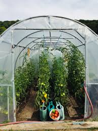 Amenagement De Serre D Un Client En 2020 Serre Potager Jardin Francais Serre