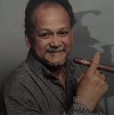 Would a metal roof look good