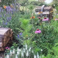 Gefallt 478 Mal 30 Kommentare Mein Weg Zum Gartengluck Landhaus Garten Auf Instagram Ein Kleiner Bildausschnitt Aus Meinem Insekten Und Plants