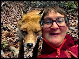 Appreciation of fox photos in the Fox Lovers Community