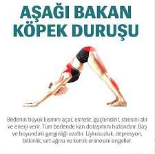 vucut egzersizleri vucut egzersizleri pilates egzersizleri fiziksel egzersiz