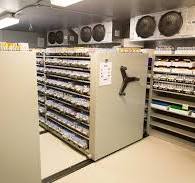 Compact Cold Storage in a Pathology Lab