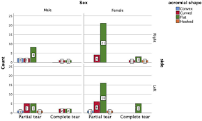 Bigliani classification (types of acromion). Cureus Relationship Between Acromial Anatomy And Rotator Cuff Tears In Saudi Arabian Population