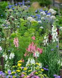At this time of the year most people turn to bedding plants as with most of the plants featured here on plant post the evergreens mentioned stay green all year round and are hardy in most of the uk. Pin On Au Jardin