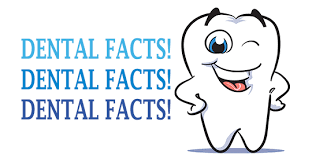 facts about teeth
