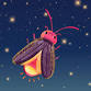 Jr. Scientists: Why Do Fireflies Glow at Night? event image