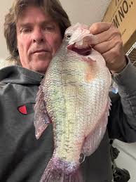 Ok, dumb question: What's the reason for or purpose of a "crimper"