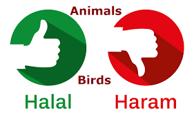 Is crab haram or makruh? About Islam List Of Permitted Halal Prohibited Haram Animals Birds