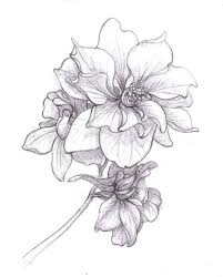 25 Beautiful Flower Drawing Ideas Inspiration Brighter Craft Larkspur Flower Tattoos Larkspur Tattoo Birth Flower Tattoos