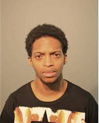 ᐅ Illinois Criminal Records 2009-2026