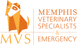 Arlington & east memphis pet hospitals, based in the memphis, tn area are presently accepting applications for veterinary front office/receptionists and veterinary assistants/technicians. Memphis Veterinary Specialists Emergency Cordova Veterinarian