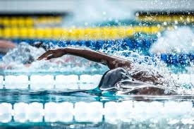 How club teams can help college teams college swimming is an endangered species and it's partially our job to keep it alive and healthy. Dear Swim Coach Thank You