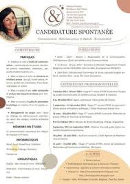 The cvs for education we've prepared cover a wide range of positions use our foodservice cv examples to cook up the best job application—no matter if you're trying to get. 130 Idees De Exemple Cv Exemple Cv Modele Cv Cv Creatif