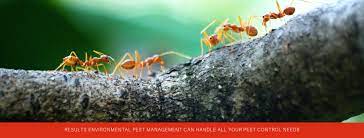 We are a growing pest control company in sherman oaks, recognized for best practices, and most recently admitted to an elite california epa pesticide environmental stewardship program. Results Environmental Pest Management Home Facebook