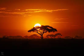 Download in under 30 seconds. Perfect African Sunset Etsy African Sunset Africa Sunrise African Sunrise