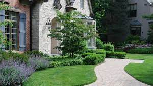 These small evergreen trees are good for rock gardens, foundation planting, or as a small evergreen shrub. Design School Foundation Plantings