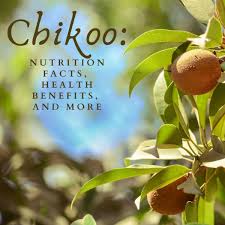 The fruit has a high tanning substance, to stop diarrhea, the raw fruit is boiled and the decoction is consumed. The Health Benefits Of Chikoo Or Sapodilla Fruit Caloriebee