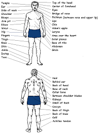 Karate Stances Strikes And Vital Points