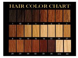 28 Albums Of Shades Of Natural Red Hair Chart Explore
