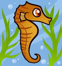 How To Draw A Seahorse For Kids Seahorse Drawing Drawing For Kids Drawings