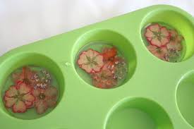 We did not find results for: Pressed Flower Paperweight Diy