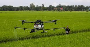 Instant industry overview (market sizing, forecast, key players, trends) Malaysian Startups Provide Impetus For Country S Agritech Sector Krasia