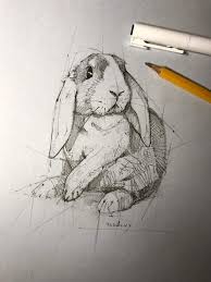 Psdelux Bunny Rabbit Kaninchen Hase Haschen Animal Sketches Animal Drawings Sketches Art Inspiration Drawing