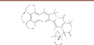 Image result for Mostuea batesii