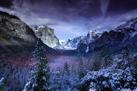 We did not find results for: Forest With Mountains Background Hd Wallpaper Wallpaper Flare