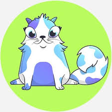 Collect and trade cryptokitties in one of the world's first blockchain games. Cryptokitties Dictionary Com