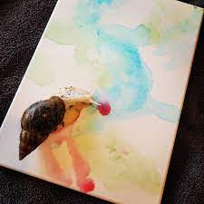 Remember taking leaves, vegetables, sponges, or blocks and covering them in paint? I Create Watercolour Art With My Pet Snail By Watering Down Food Colouring Letting Him Slime Around A Canvas Mildlyinteresting