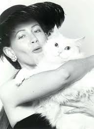 Thor 7 months old and first cat in my 50 plus years of life with Blue  eyes..