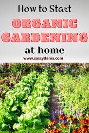 How To Start An Organic Garden At Home Organic Gardening Growing Organic Vegetables Garden Patio Furniture