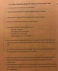 Well cellular respiration is basically the breakdown of organic molecules such as carbohydrates with oxygen available, the pyruvates will enter a mitochondria, which is an organelle in the cell. For Cellular Respiration Review The What You Need To Chegg Com