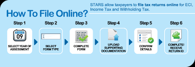 Company with income taxable at 17%. Stars System For Tax Administration And Revenue Services