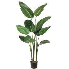Park Place Home 5 Ft Bird Of Paradise Plant In Plastic Pot Lzb605 Gr The Home Depot Birds Of Paradise Plant Artificial Plants And Trees Paradise Plant