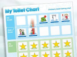 my toilet chart children s toileting chart