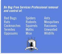 However, costs range by type of insect: Home Austin Pest Control Rodent Exclusion And Termites