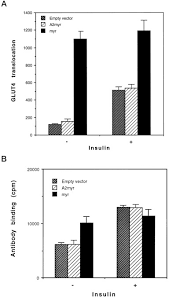 Convert currency 20000 usd to myr. Expression Of A Constitutively Active Akt Ser Thr Kinase In 3t3 L1 Adipocytes Stimulates Glucose Uptake And Glucose Transporter 4 Translocation Journal Of Biological Chemistry