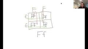 Chicken genetics gizmo assessment answer key pdf may not make exciting reading, but chicken. Inheritance Gizmo Activity B Cute766