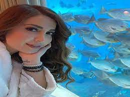 يُذكر أن محمد الموسى دخل منزل فادي ونانسي بهدف السرقة، إلا أن مصيره كان الموت بعد أن رآه فادي يدخل غرفة بناته، فأطلق النار عليه. ÙÙŠØ¯ÙŠÙˆ ÙˆØµÙˆØ± Ù†Ø³Ø±ÙŠÙ† Ø·Ø§ÙØ´ ØªØ³ØªÙ…ØªØ¹ Ø¨Ø±Ø­Ù„ØªÙ‡Ø§ ÙÙŠ Ø¯Ø¨ÙŠ Ù…ØµØ±Ø§ÙˆÙ‰