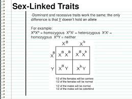 A recessive trait is expressed only in homozygous state in diploids as its effect is masked by presence of dominant allele in the heterozygous condition. Sex Linked Traits In Humans There Are 2 Chromosomes That Determine Gender Either X Or Y Females Have 2 X Chromosomes Noted As Xx Males Have 1 X Chromosome Ppt Download