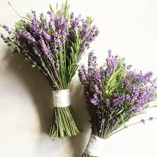 We did not find results for: Simple Lavender Rosemary Bridesmaids Bouquets Created By Eden Blooms Florist