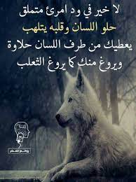 pin by suad r alkandari on كلمات من هنا وهناك islamic inspirational quotes proverbs quotes queen quotes