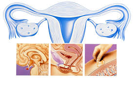 Menopause Symptoms & Complications - Clinical Advisor