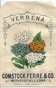 Pin By Maggie Pate On Print Paints Post Vintage Seed Packets Seed Packets Seed Catalogs