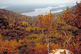 We hope it prompts you to visit the park in person sometime soon. Great River Road Bluffs