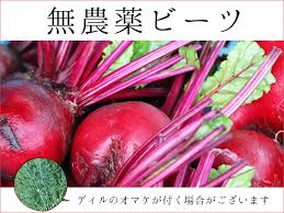 沖縄 無 農薬 野菜