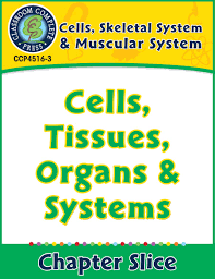 Cells Skeletal Muscular Systems Cells Tissues Organs Systems Gr 5 8 Grades 5 To 8 Lesson Plan Worksheets Ccp Interactive