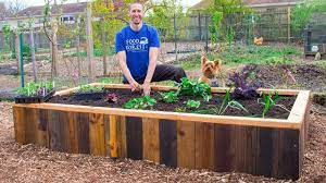 How To Build A Raised Bed Using Pallets Free Backyard Gardening Above Ground Garden Raised Garden Beds Diy Backyard Garden